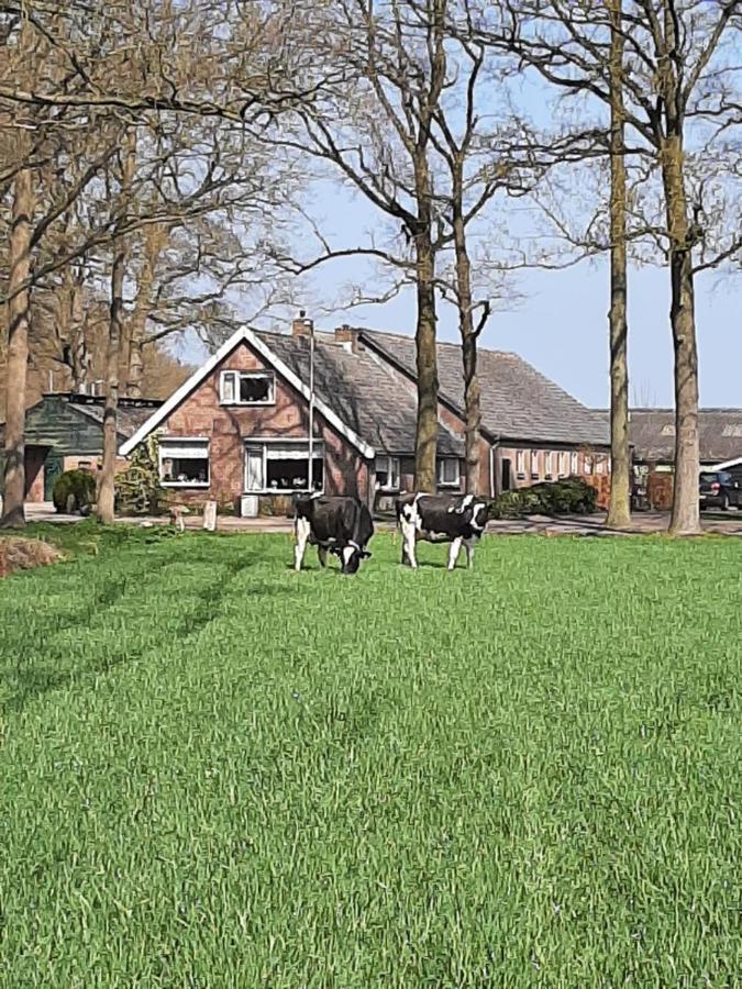 Hoeve De Laan Woudenberg Exterior photo